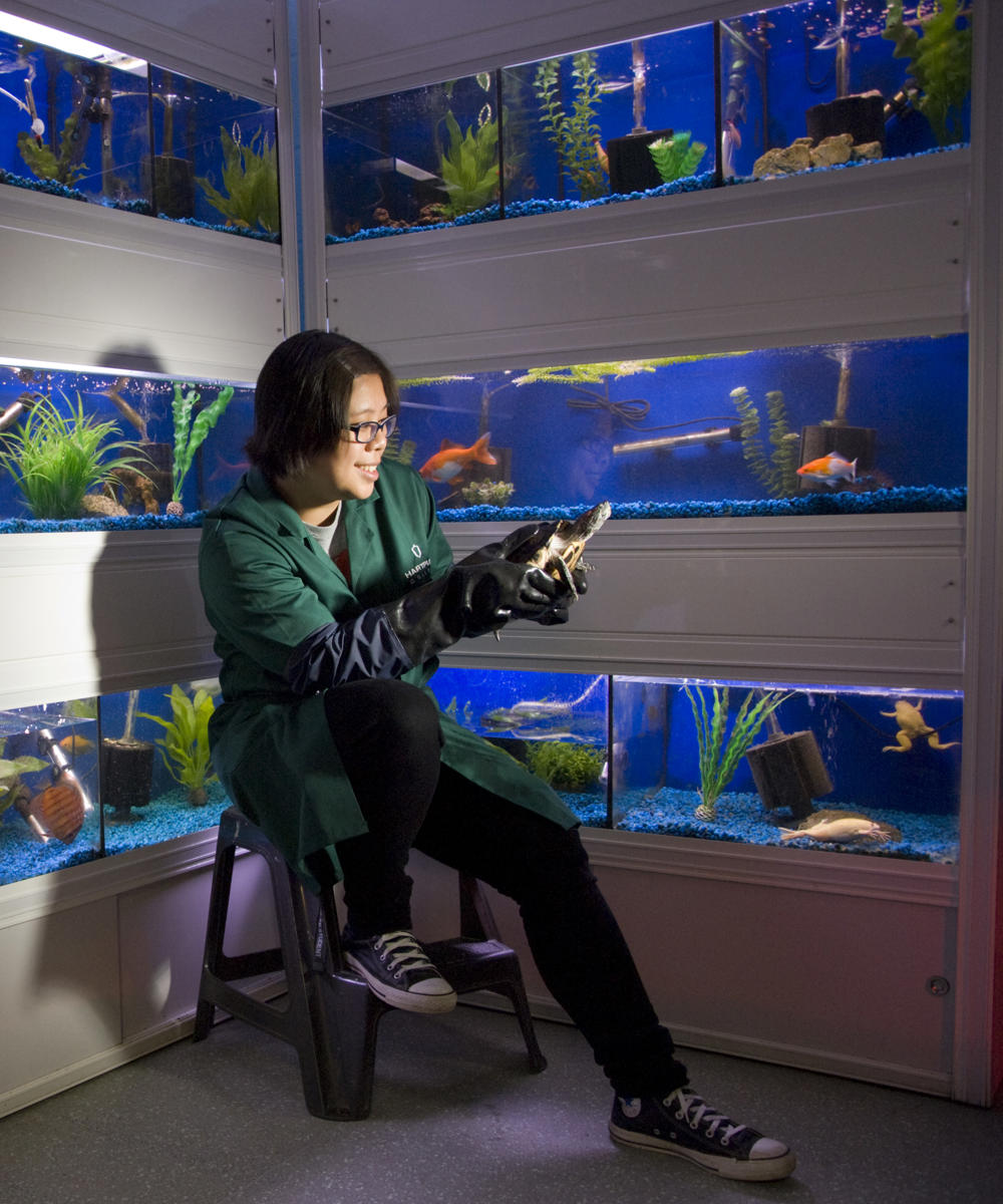 Aquarium College Student