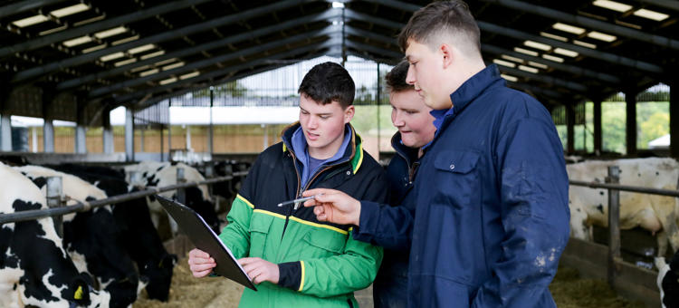 Level 2 Diploma Agriculture