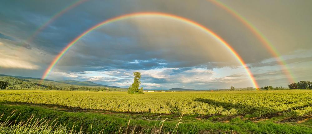 Rainbow In Sky