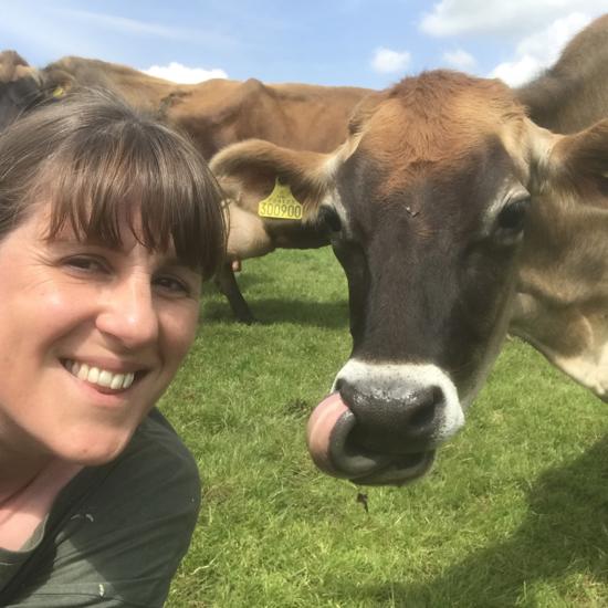 Hannah & Cows