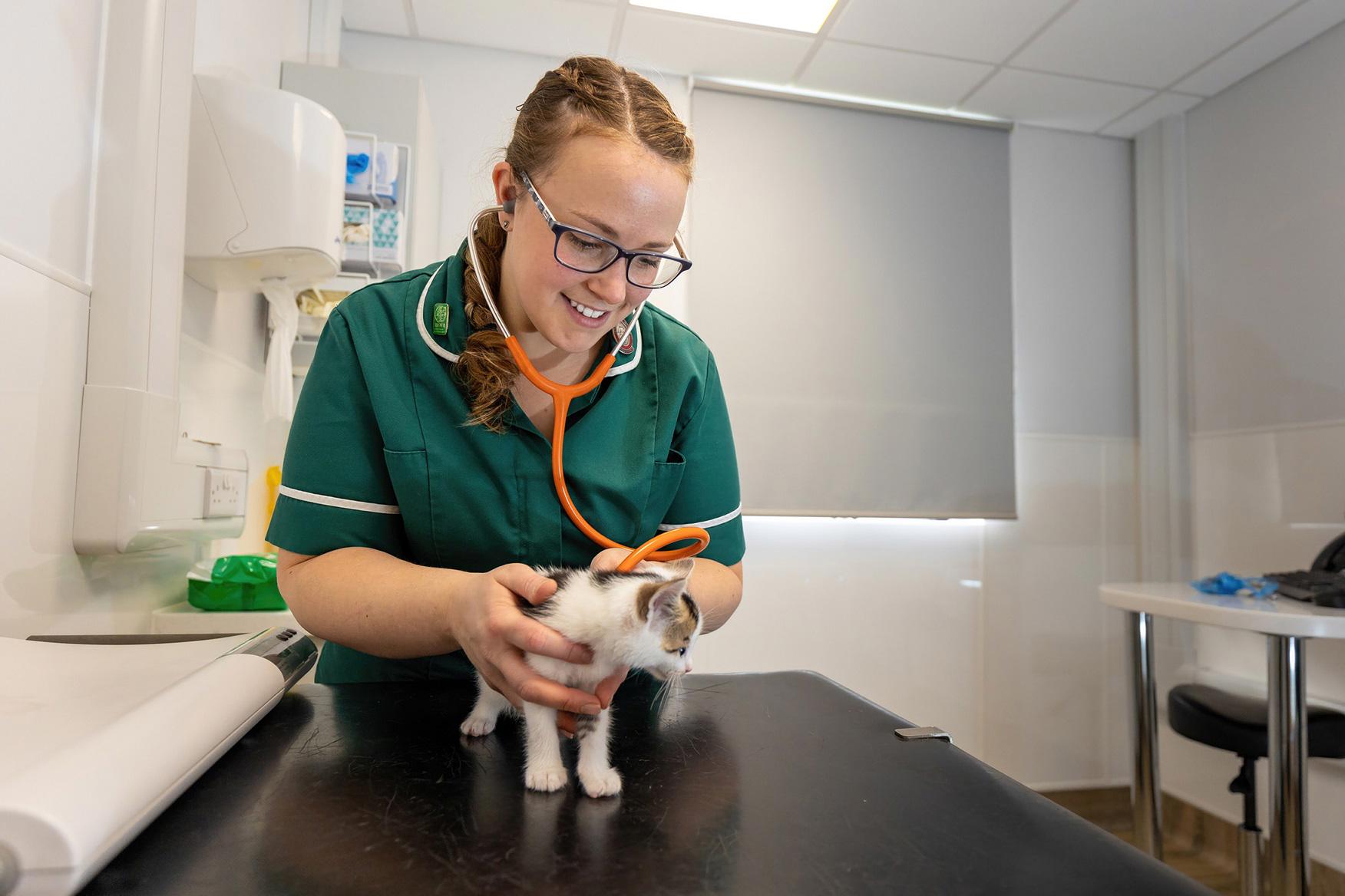 BSc (Hons) Veterinary Nursing | Hartpury University