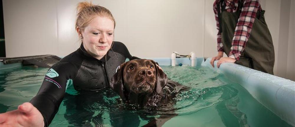 Hydrotherapy