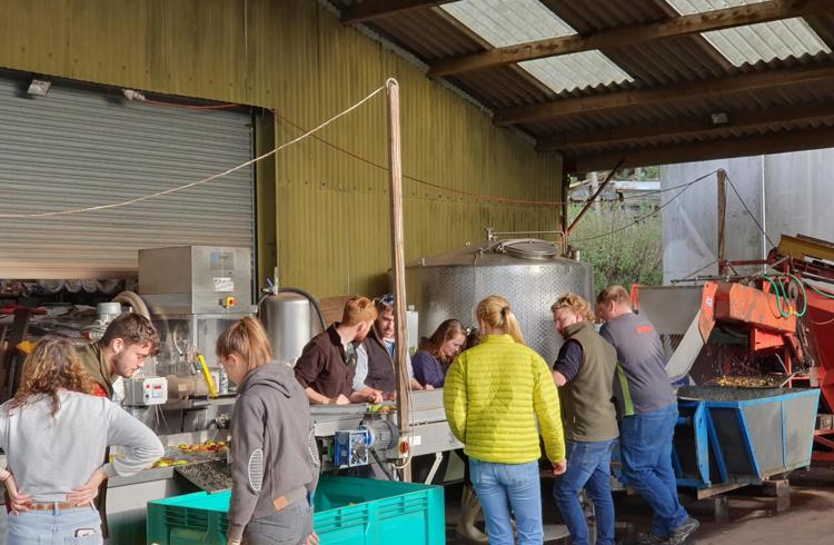 Students Making Cider