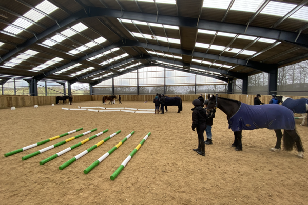 Horseback UK Poles And Horses