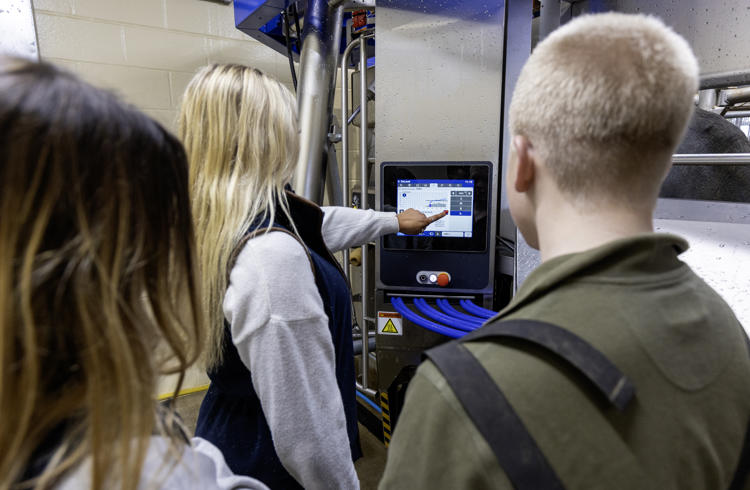 Students Using Robotic Milking Machine