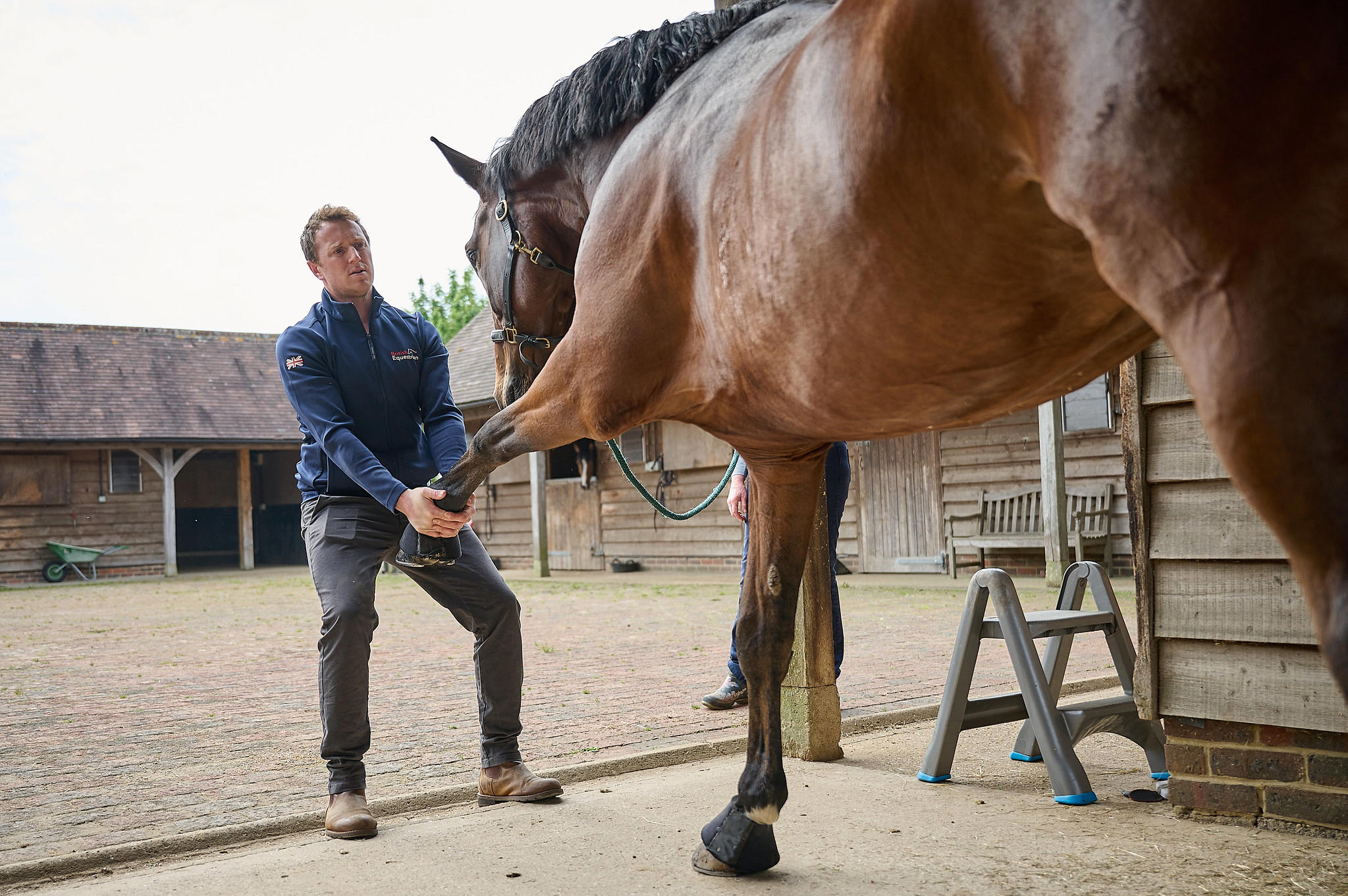 Veterinary physiotherapy store